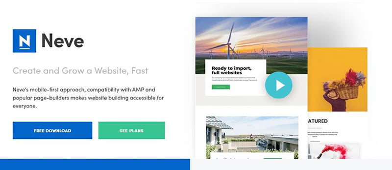 theme wordpress